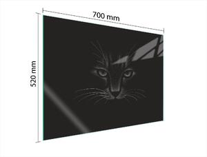 Piastra Di Protezione In Vetrina Per Levatori 70X52 Cat