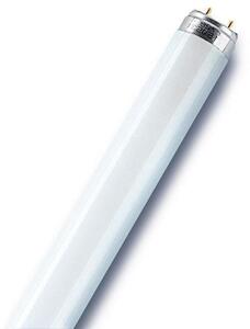 Tubo luminoso Fluorescente l1541sb bianco luce calda L 4.5 cm