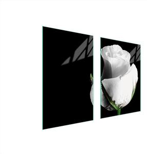 Piatto Di Protezione In Vetro Per La Cucina 65X52 Rose