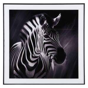 Dipinto 50x50 cm Zebra - PT LIVING