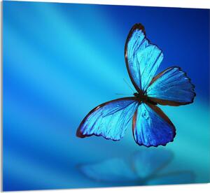 PIATTO IN VETRO PER CUCINA 65x60 Butterfly