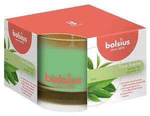 Candela BOLSIUS essenza tea verde Ø 9.2 cm H 6.6 cm, 6 pezzi