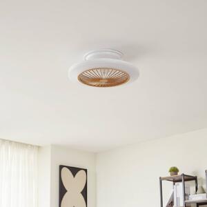 Ventilatore da soffitto Lindby LED Mamuti, color legno, silenzioso, 55 cm