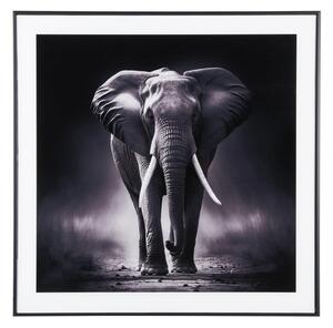 Dipinto 50x50 cm Elephant - PT LIVING