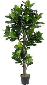 Pianta artificiale Ficus, alt. 190 cm
