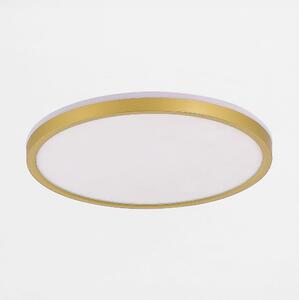 Zuma Line MS748320R-3-GD - Luce LED dimmerabile BOVE 32,5W/230V 3000/4000/5500K oro