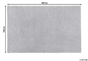 Tappeto Shaggy grigio chiaro 140 x 200 cm moderno tappeto rettangolare trapuntato a Pelo Lungo Beliani