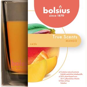 Candela BOLSIUS essenza mango Ø 9.7 cm H 9.9 cm, 4 pezzi
