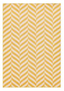 Tappeto giallo 170x120 cm Muse - Asiatic Carpets