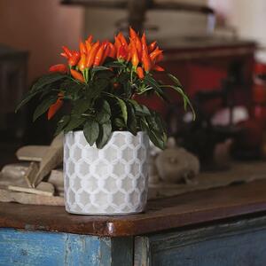 Coprivaso per piante e fiori Deco' Cilindro in ceramica colore grigio H 15  cm, Ø 17 cm