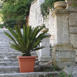 Vaso per piante e fiori Mediterraneo STEFANPLAST in polipropilene colore terracotta H 40 cm, L 45 x P 45 cm