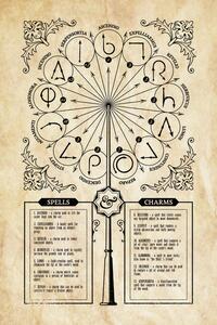 Stampa d'arte Harry Potter - Spells Charms