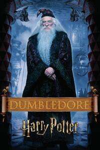 Stampa d'arte Harry Potter - Dumbledore