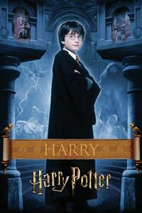 Stampa d'arte Harry Potter - Harry, (26.7 x 40 cm)