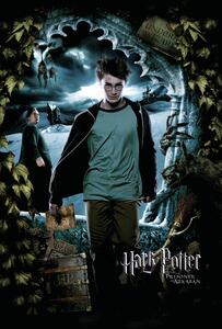 Stampa d'arte Harry Potter - Harry, (26.7 x 40 cm)