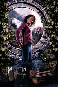 Stampa d'arte Harry Potter - Hermione