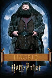 Stampa d'arte Harry Potter - Hargrid