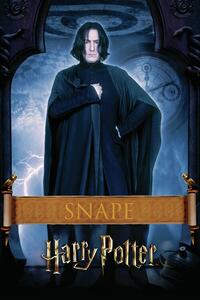 Stampa d'arte Harry Potter - Snape