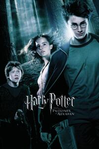 Stampa d'arte Harry Potter - Prisoner of Azkaban