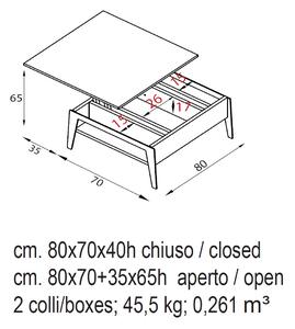 Pezzani Tavolino da salotto moderno piccolo con contenitore Brighton Acciaio Inox,Legno Grigio Ardesia/Nero