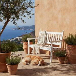 Panchina da giardino Aruba | 2 posti | bianco | HxLxP 88x115x69cm | plastica resistente agli agenti atmosferici e ai raggi UV | panchina da parco Panchina da esterno Balcone da giardino Terrazza