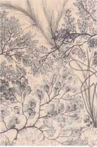 Tappeto color menta/beige in lana 200x300 cm V&A Calisia Kelp – Agnella
