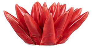 Riccio di mare piccolo soprammobile decorativo in ceramica lucida Fish - Red