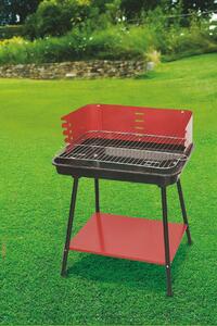 Barbecue griglia rimovibile in acciaio struttura in metallo ripiano inferiore