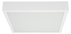 BOX SQ PLAFONIERA QUADRATA 41X41 BIANCA LED 25W LUCE 3000K-4000K DELLA LINEA LIGHT
