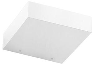 REGOLO APPLIQUE MODERNA A LED 14W MONOEMISSIONE LUCE 2700K-3000K 3 COLORI LINEA LIGHT