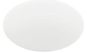 OH! SMASH S65 PLAFONIERA OVALE DA ESTERNI D38 IP65 COLORE BIANCO DESIGN MODERNO DELLA LINEA LIGHT