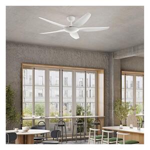 WIND VENTILATORE 5 PALE SENZA LUCE D142 CM METALLO BIANCO CON TELECOMANDO INCLUSO MODERNO