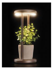 CLEPSY LAMPADA DA TAVOLO CON BATTERIA RICARICABILE IP54 TOUCH DIMMER LED 2W DIMMERABILE 5 COLORI