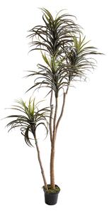 Pianta Artificiale Nolina Recurvata H 210 cm