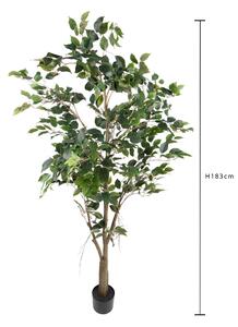 Pianta Artificiale Ficus con Vaso H 183 cm