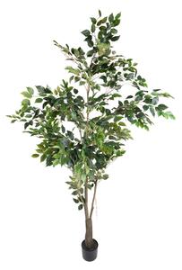 Pianta Artificiale Ficus con Vaso H 213 cm