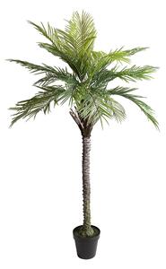 Pianta Artificiale Palma per 19 con Vaso 200 cm