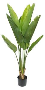 Pianta Artificiale Real Touch Sterlizia x 9 110 cm con Vaso