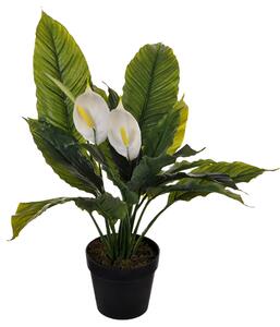 Pianta Artificiale Spathipilium con Vaso H 65 cm