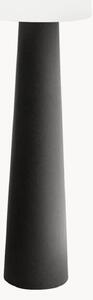Lampada da terra solare a LED No. 1