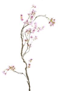 Set 2 Ghirlande con Fiori di Pesco 160 cm