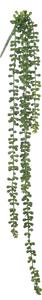 Set 2 Rami Artificiali Sedum Pendente con 5 Diramazioni H 74 cm