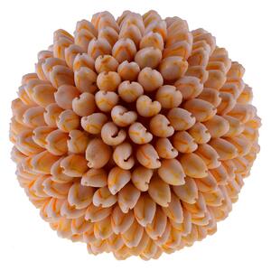 Set 2 Sfere di Conchiglie Annulus H 10 cm