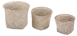 Set 6 Cesti 33C32 cm