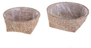 Set 4 Ciotole Contenitore Larghezza cm2