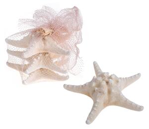 Set 6 Stelle 20 cm Colorata in Rete