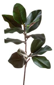 Set 3 Fiori Artificiali Magnolia Rami 99 cm