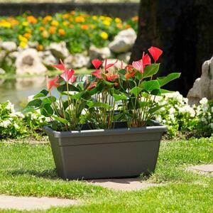 Vaso per piante e fiori Akea Greener EURO3PLAST in plastica colore antracite H 40 cm, L 100 x P 46 cm