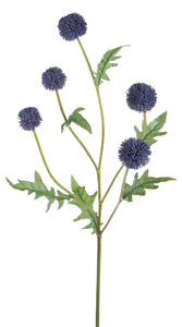 Set 4 Echinops per 5 74 cm