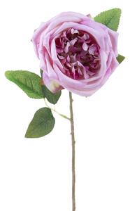 Set 8 Rose Artificiali Inglese H 51 cm